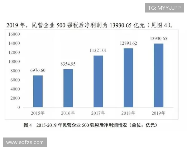 权威发布：篮球实力实力榜单
