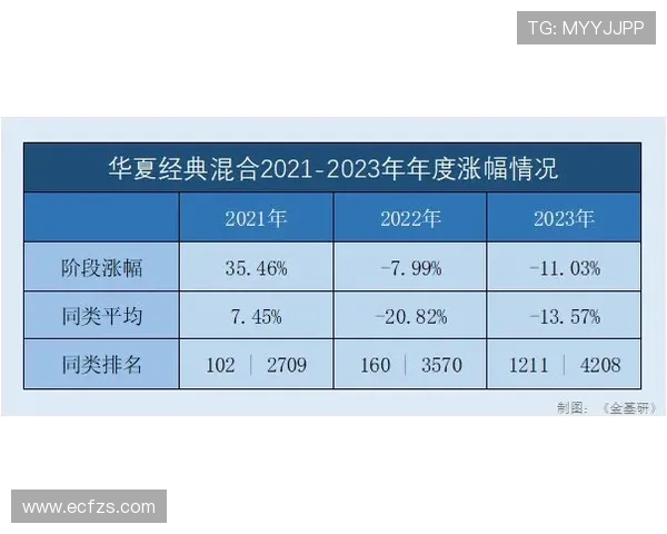 杭州乒乓球队配合策略深度对比与分析探讨